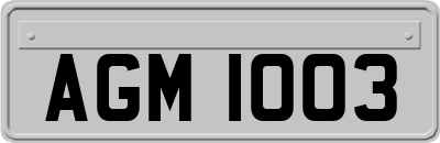 AGM1003
