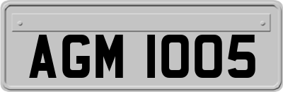 AGM1005