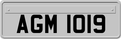AGM1019
