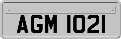 AGM1021