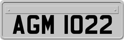 AGM1022