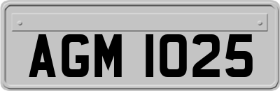 AGM1025