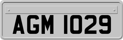 AGM1029