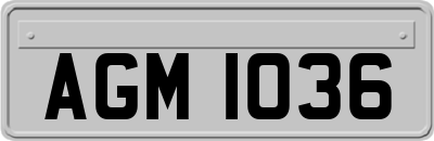 AGM1036