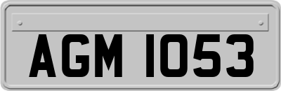 AGM1053