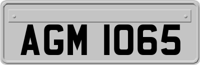 AGM1065