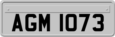 AGM1073