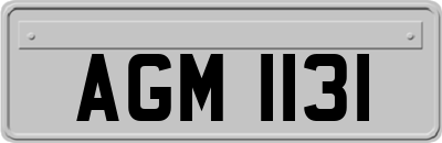 AGM1131