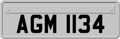 AGM1134