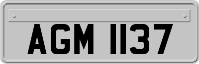 AGM1137