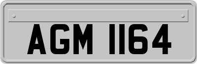 AGM1164