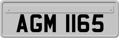 AGM1165
