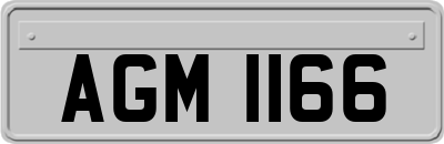 AGM1166