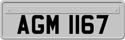 AGM1167