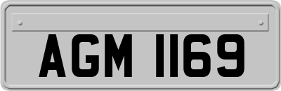 AGM1169