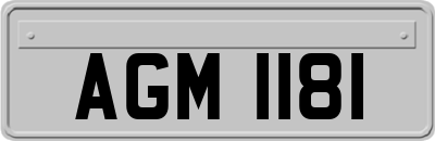 AGM1181