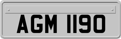 AGM1190