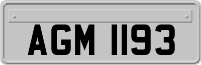 AGM1193