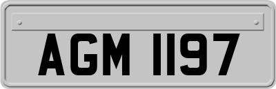 AGM1197