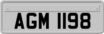 AGM1198