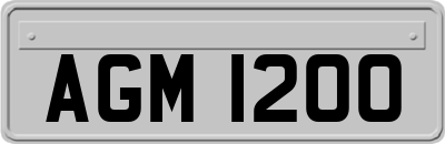 AGM1200