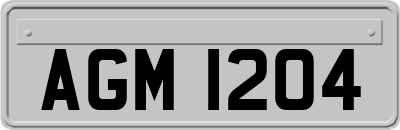 AGM1204