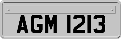 AGM1213