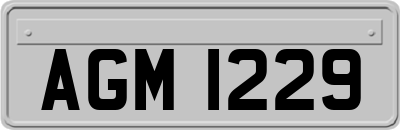 AGM1229