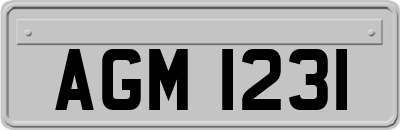 AGM1231