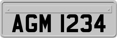 AGM1234