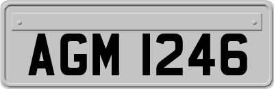 AGM1246