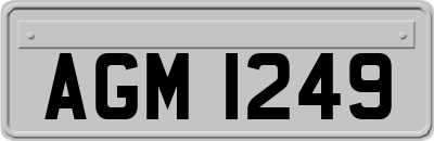 AGM1249