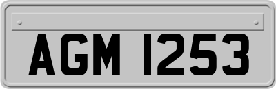 AGM1253