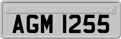 AGM1255
