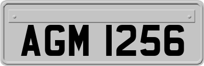 AGM1256