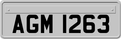 AGM1263