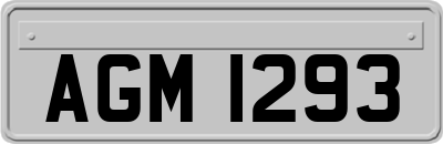 AGM1293