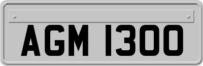 AGM1300
