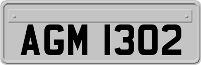AGM1302