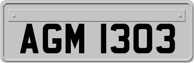 AGM1303