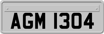 AGM1304