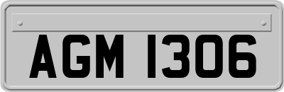 AGM1306