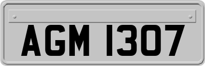 AGM1307