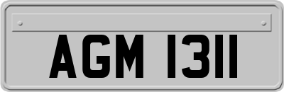 AGM1311