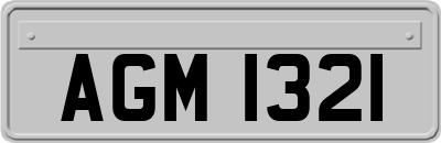 AGM1321