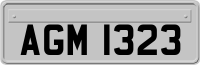 AGM1323