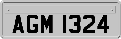 AGM1324