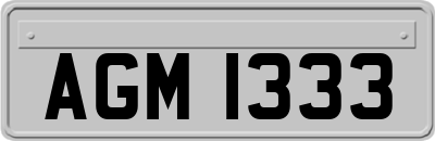 AGM1333