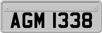AGM1338