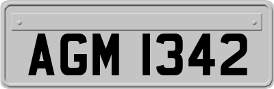 AGM1342